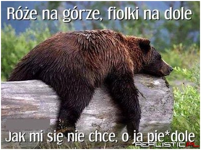 Jak mi się nie chce