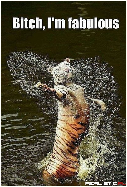 Just Fab....