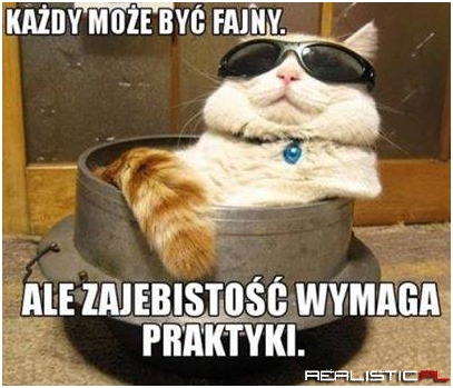 Każdy może być fajny