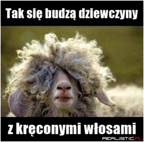 Kręcone włosy