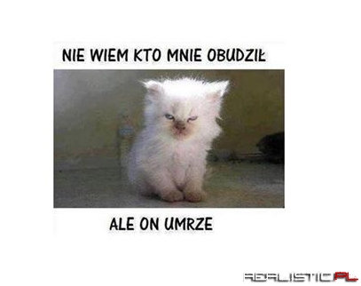 Kto mnie obudził
