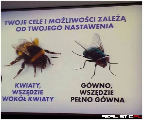 Kwestia nastawienia