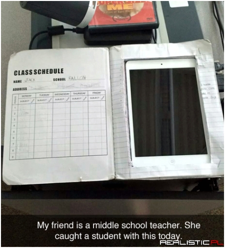 Middle school teacher