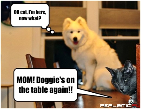 Mom!