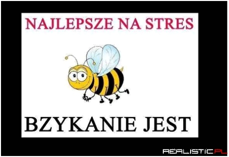 Najlepsze na stres