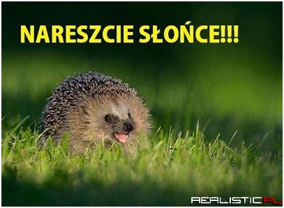 Nareszcie slońce