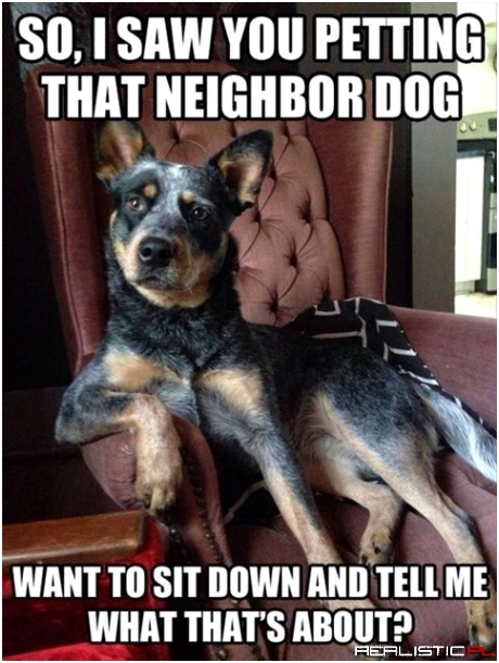 Neighbor dog