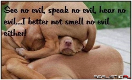 No evil