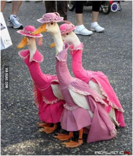 Nobody expects the spanish inquisition