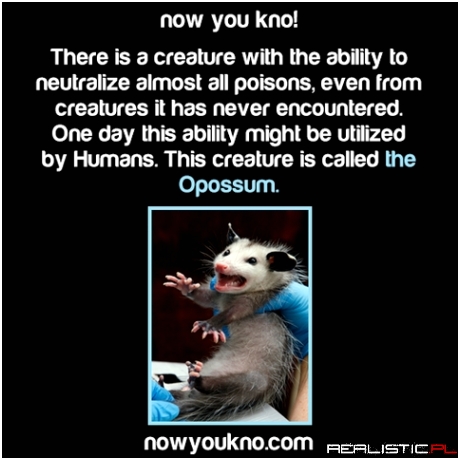 Now you know