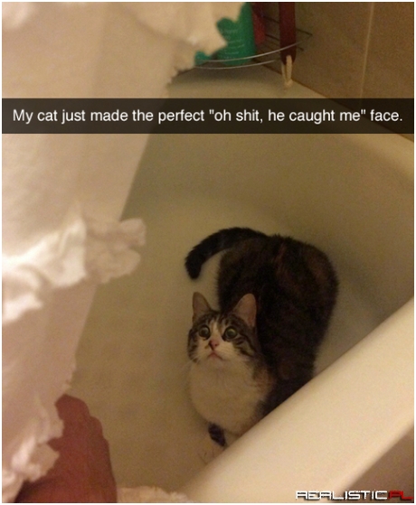 Oh shit