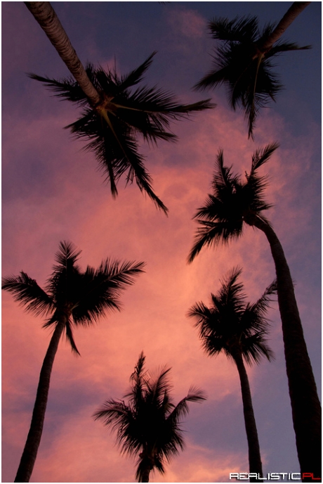 One of natures