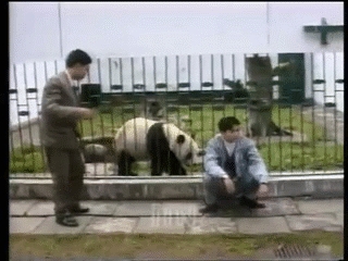 Panda love this denim jackets
