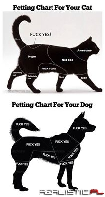 Petting Chart