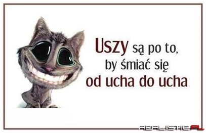 Po to są uszy
