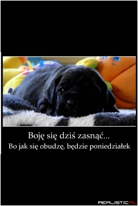 Poniedziałek