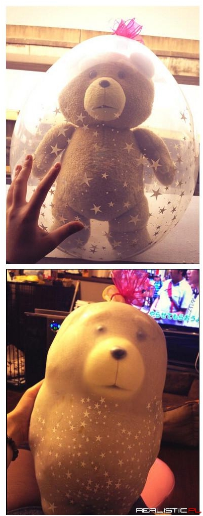 Prepared a teddy bear