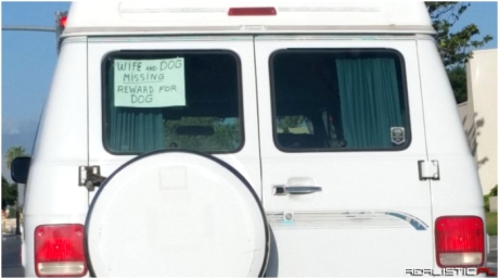 Reward for dog