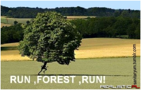 Run forest