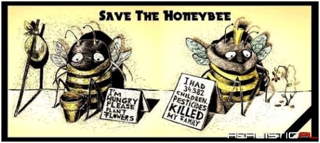 Save the honeybee