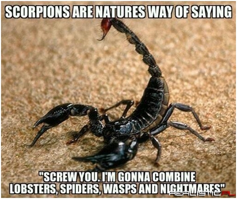 Scorpions