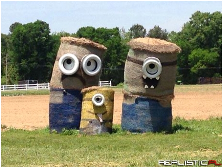 Seen on a farm driving through Aberdeen, MS
