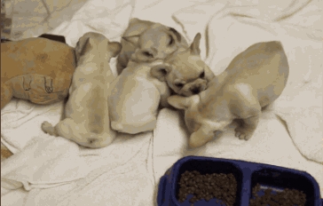 So cute