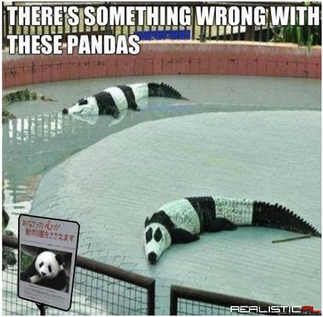 Something wrong