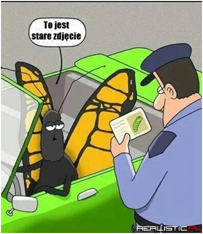 Stare zdjęcie