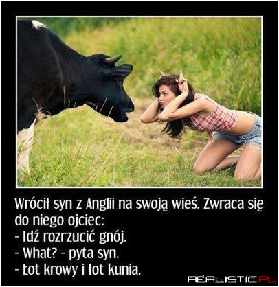 Syn z Anglii