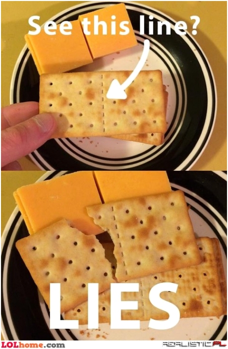The biscuit line