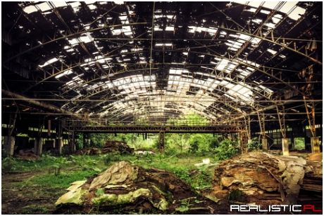 The forest growing out of an old woodworking factory in Checheng