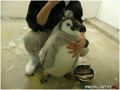 u lucky he holdin me back bitch