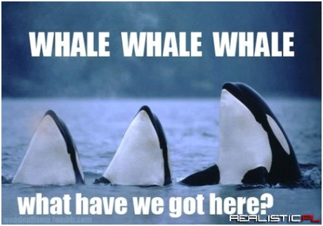 Whale