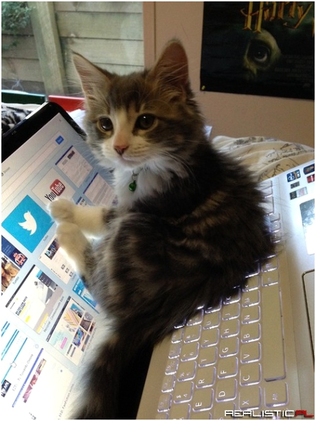 What do you mean you have to study