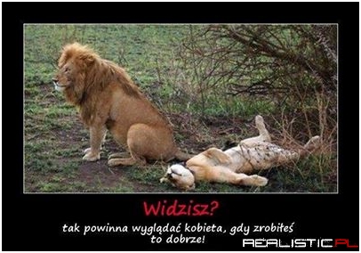 Widzisz