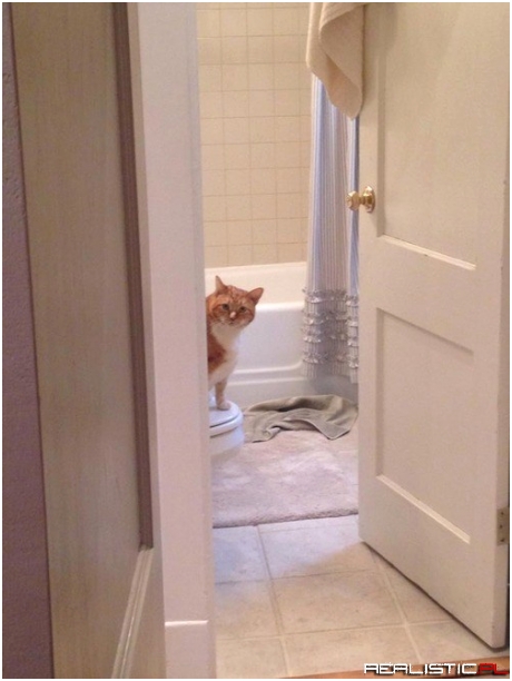 A Little Privacy Please