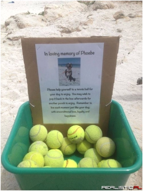 A Memorial Fit for a Dog