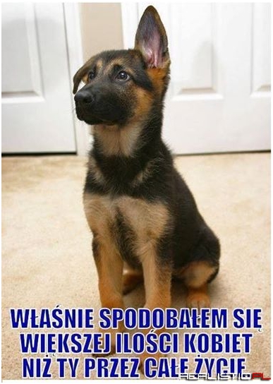 A to skur....