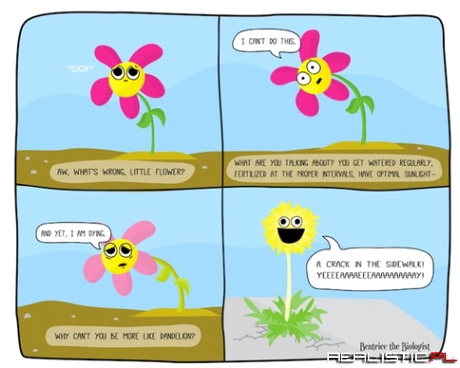All of you will appreciate this