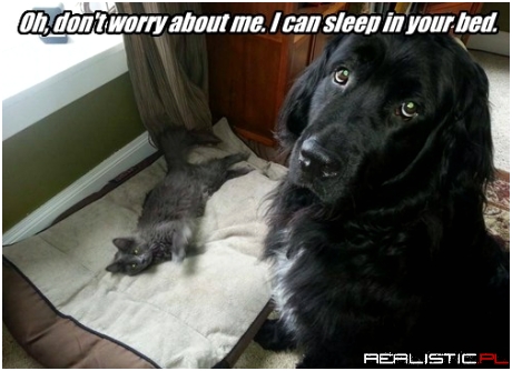All Part of Their Master Plan