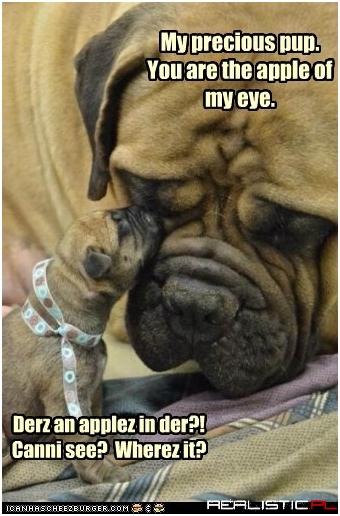 Apple of My Eye