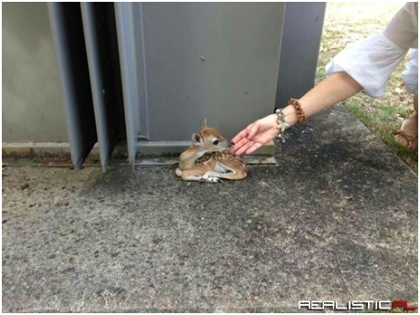 Are You a Friendly Hand