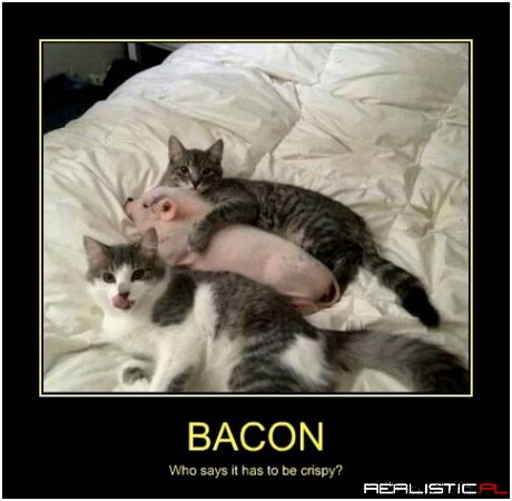 Bacon