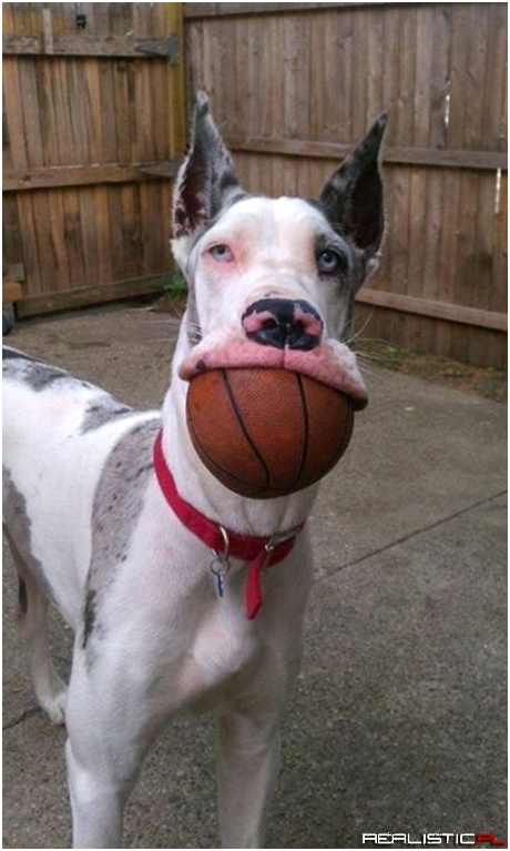 Baller