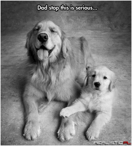 Be Cool, Dad! My Friends are Here!