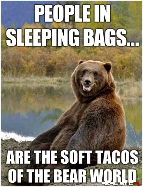 Bears Are in Tents... I Mean Intense