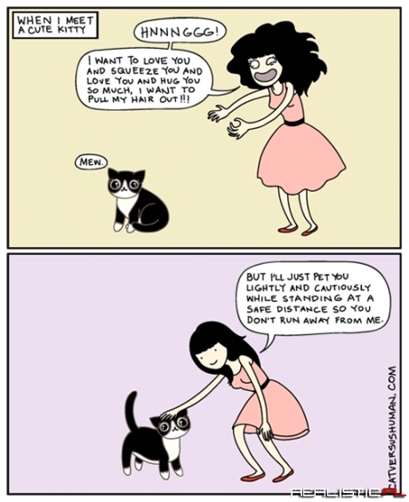 Before You Meet a Kitten for the First Time You Should Read This