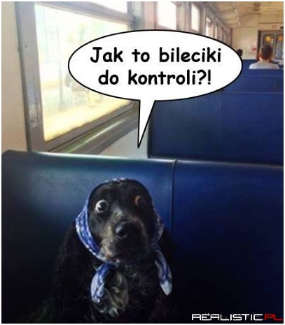 Bileciki do kontroli