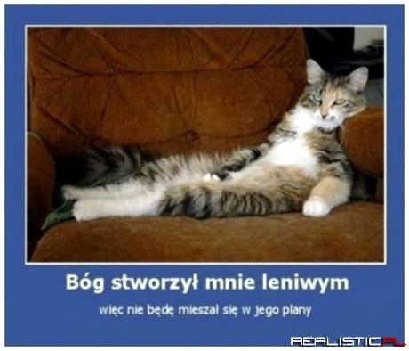 Bóg stworzył mnie leniwym ...